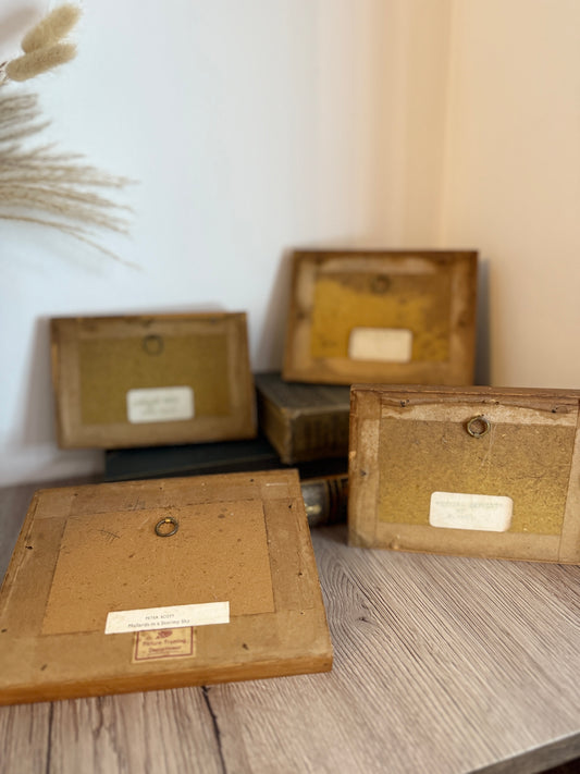 Set of 4 Retro Wooden Framed Bird Pictures