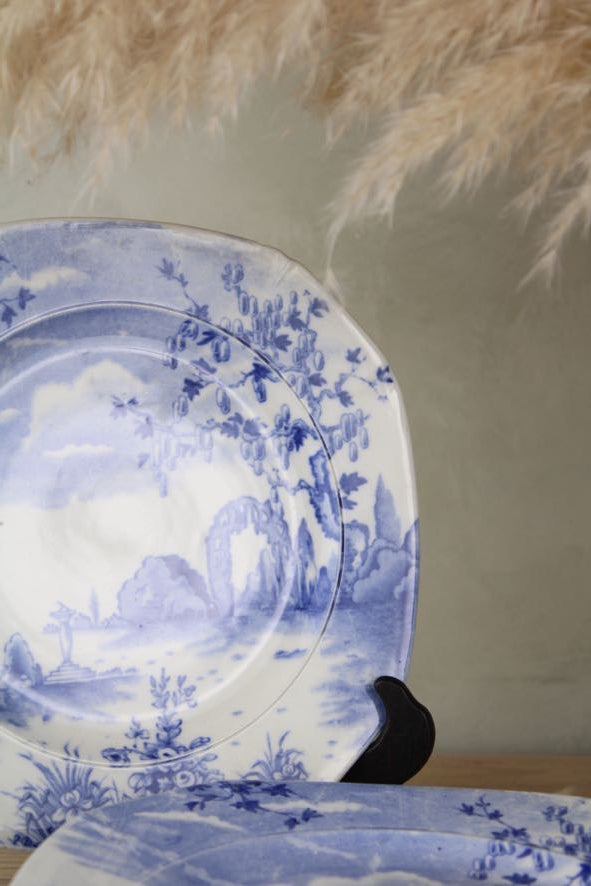 Set of 6 Regal Pottery Palissy ‘Enchanta' Small Dinner Plate