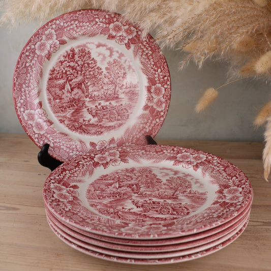 Set of 6 Pink and White Dinner Plates