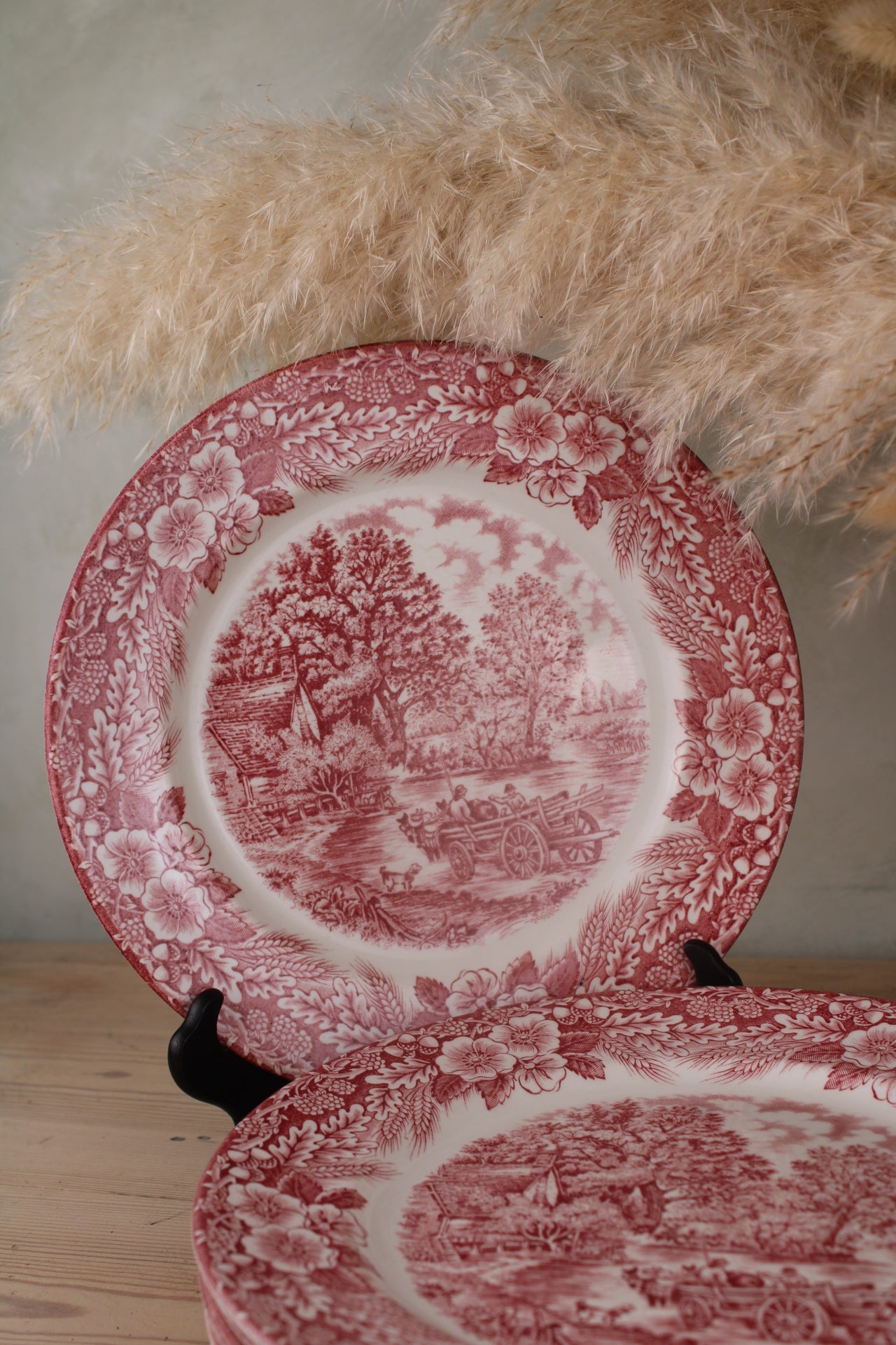 Set of 6 Pink and White Dinner Plates