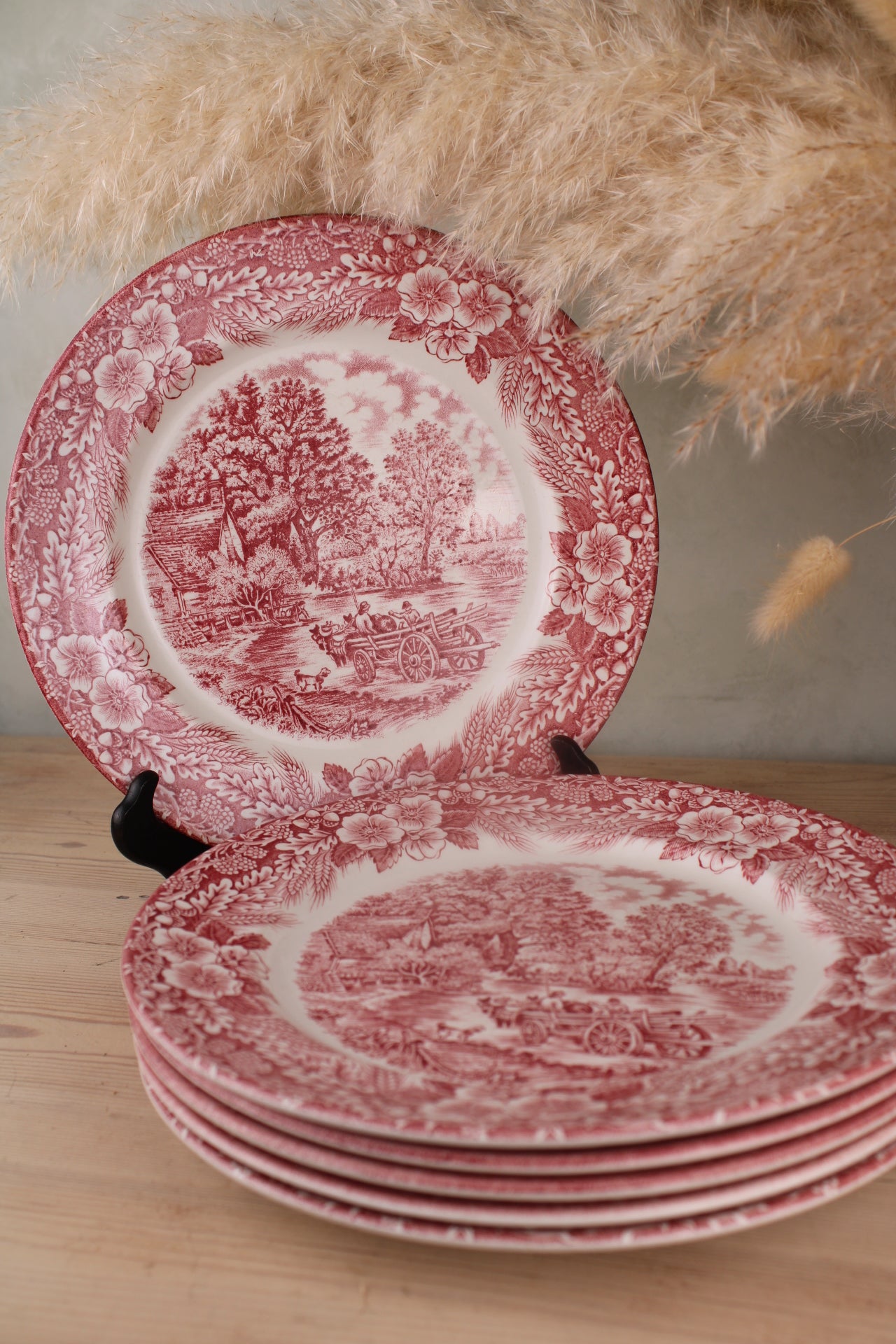 Set of 6 Pink and White Dinner Plates