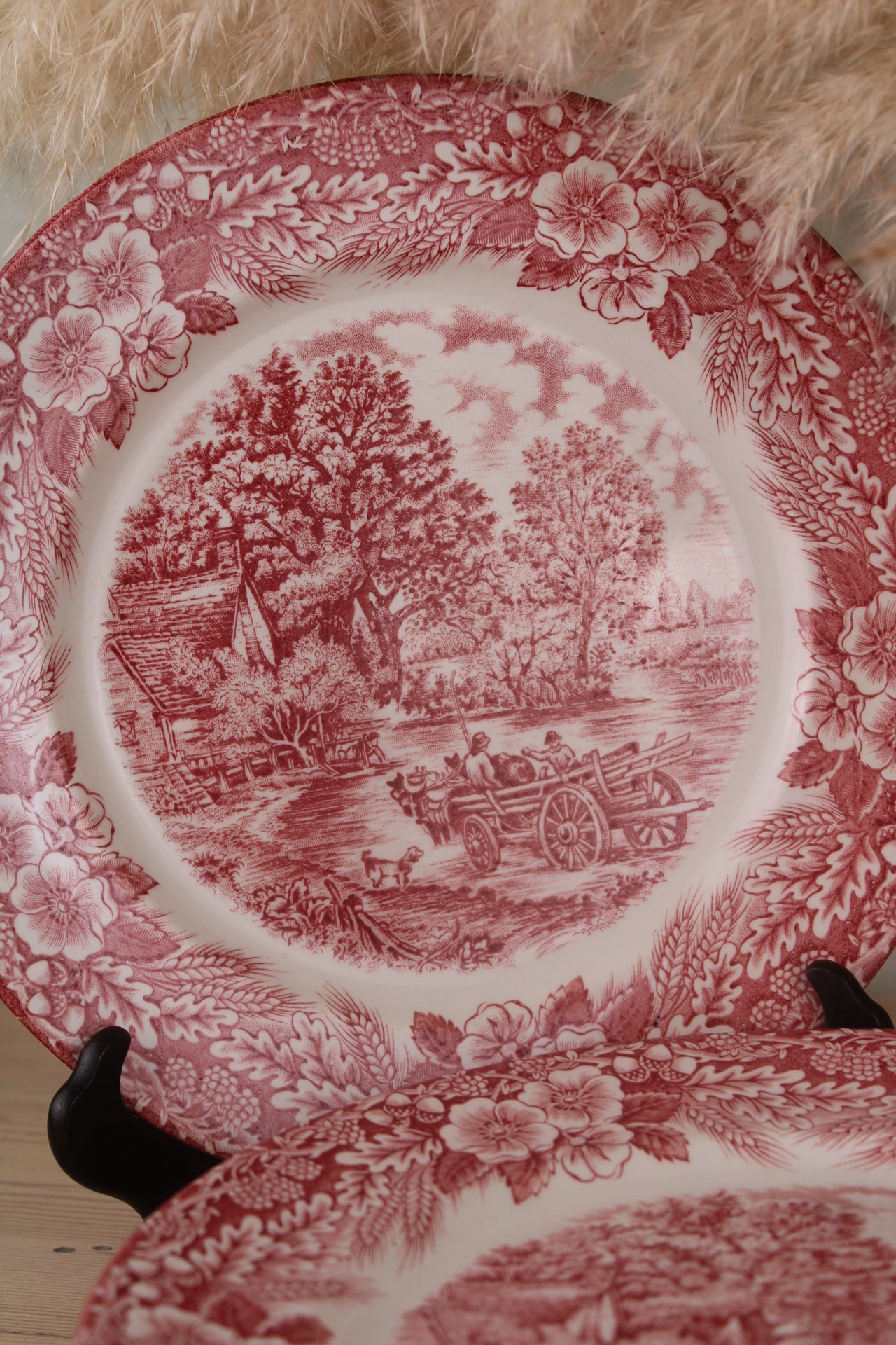 Set of 6 Pink and White Dinner Plates