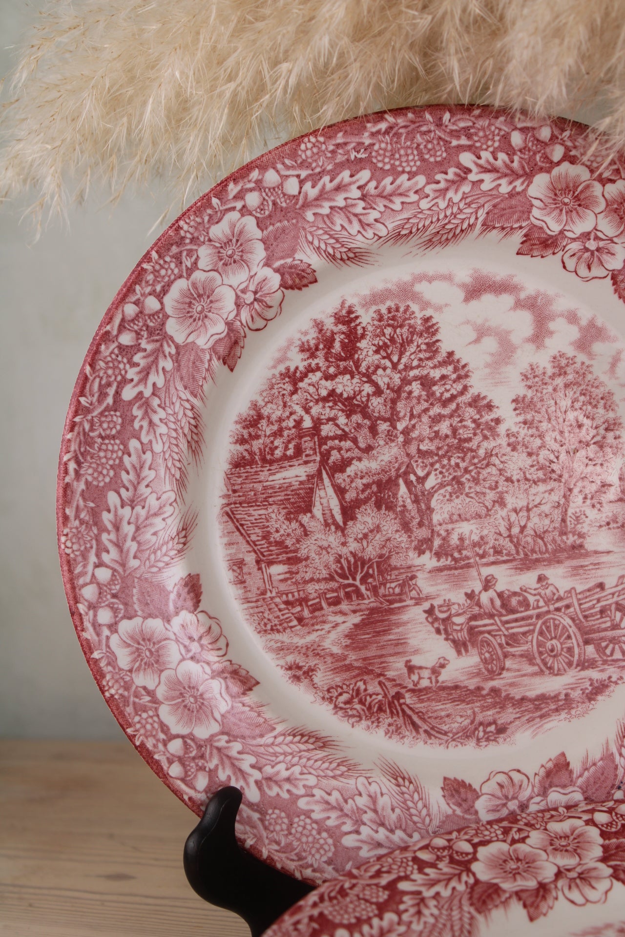 Set of 6 Pink and White Dinner Plates