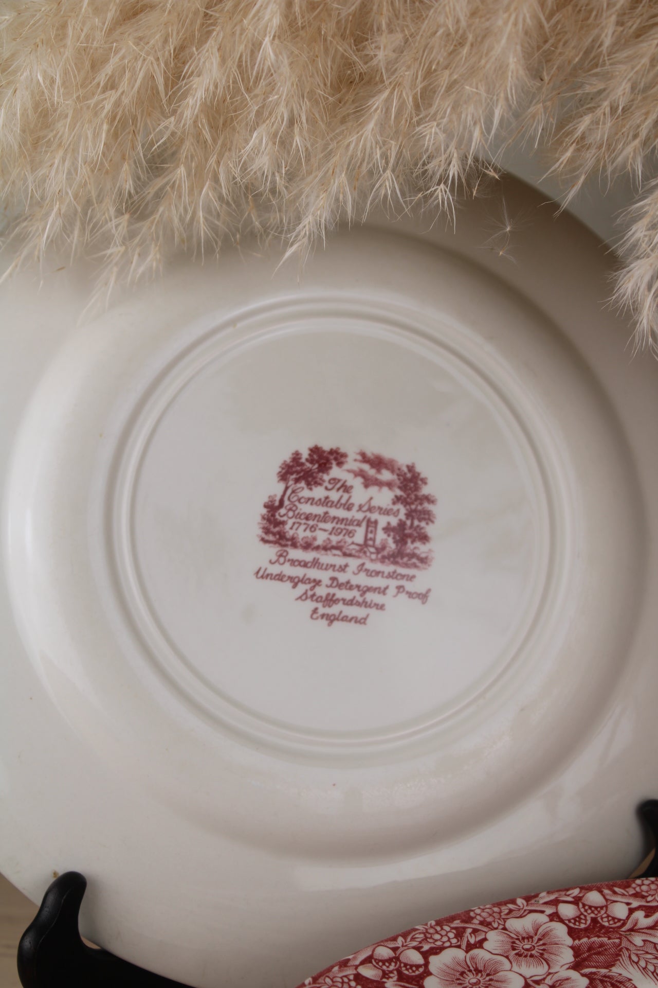 Set of 6 Pink and White Dinner Plates