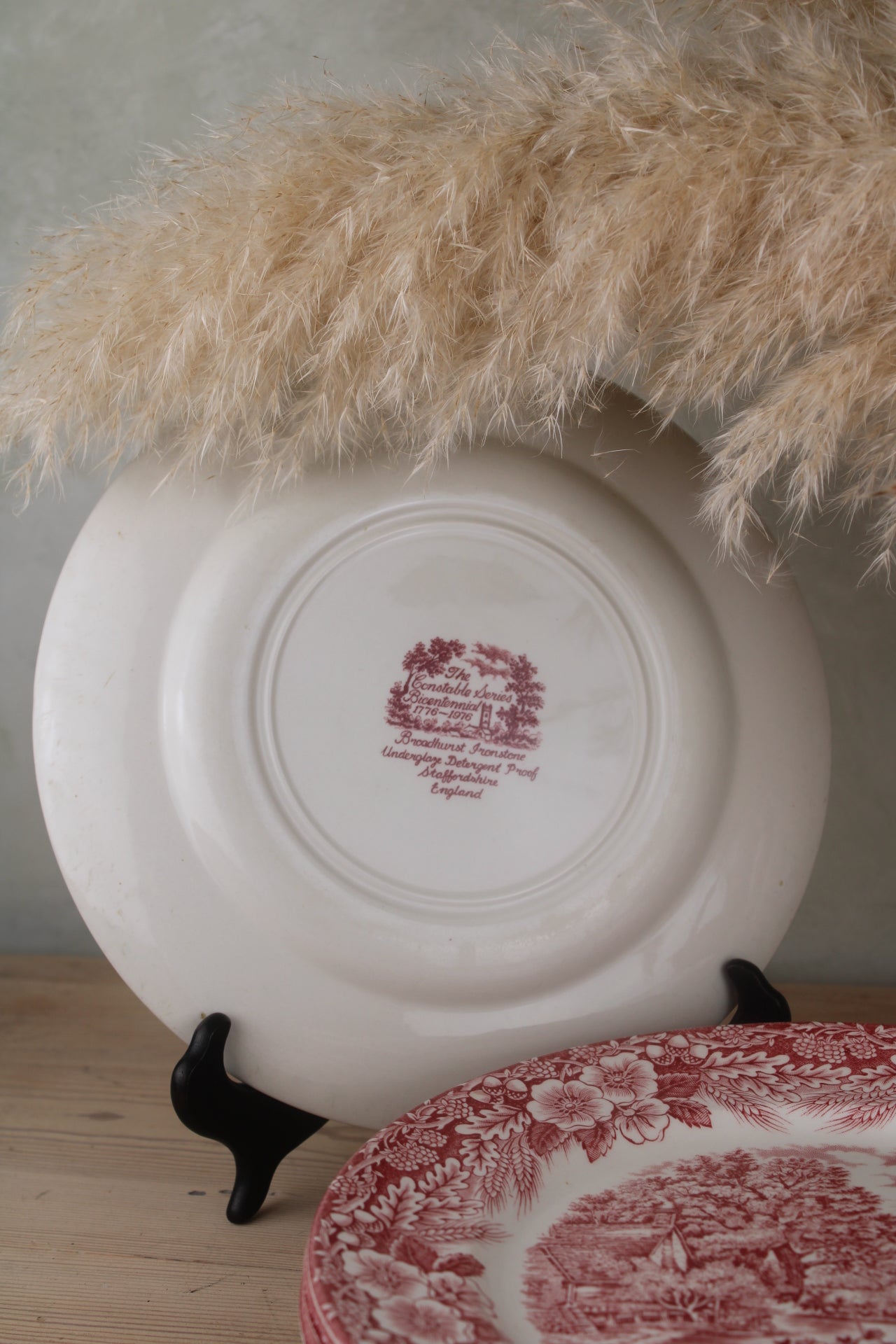 Set of 6 Pink and White Dinner Plates