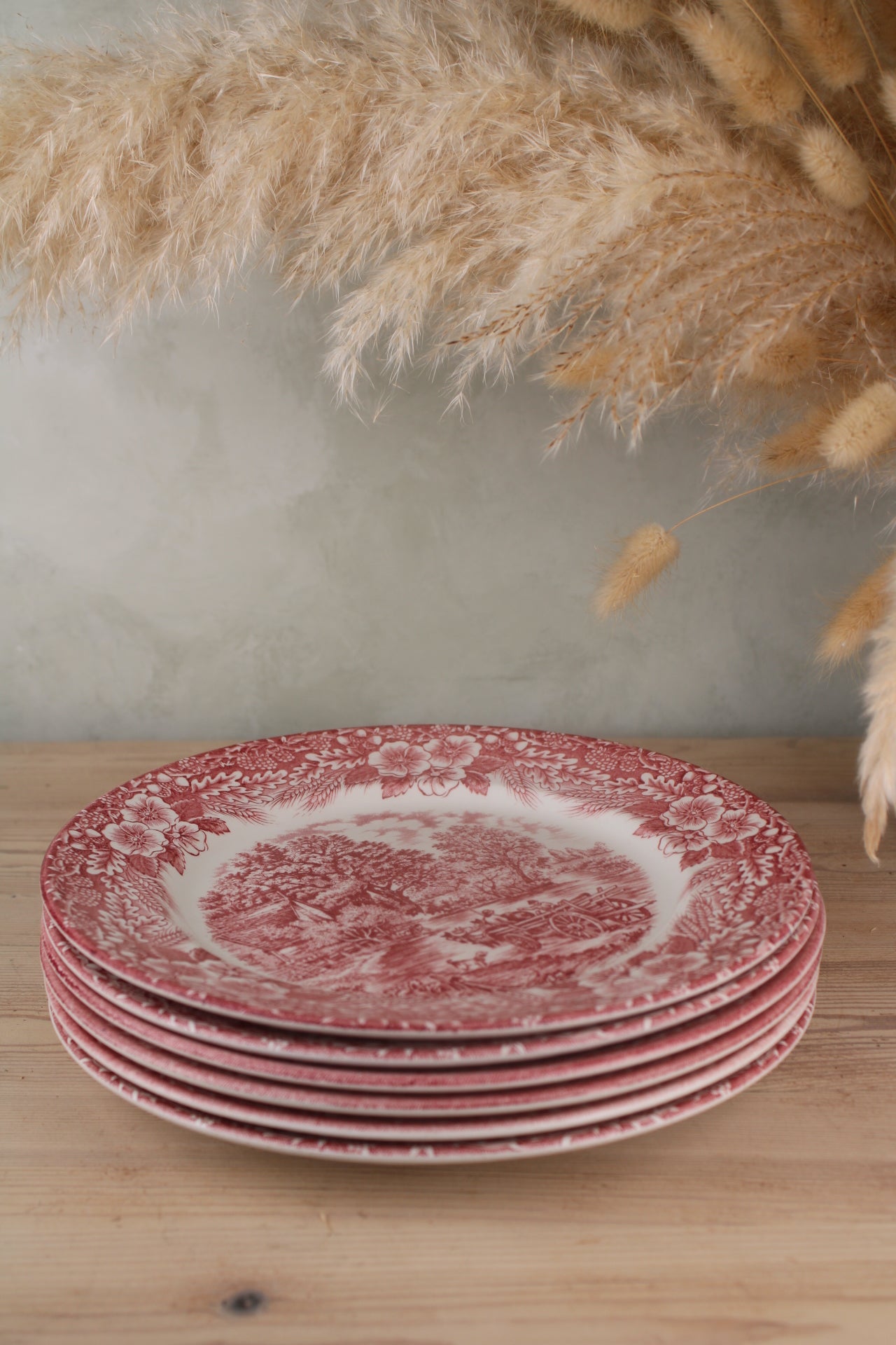 Set of 6 Pink and White Dinner Plates