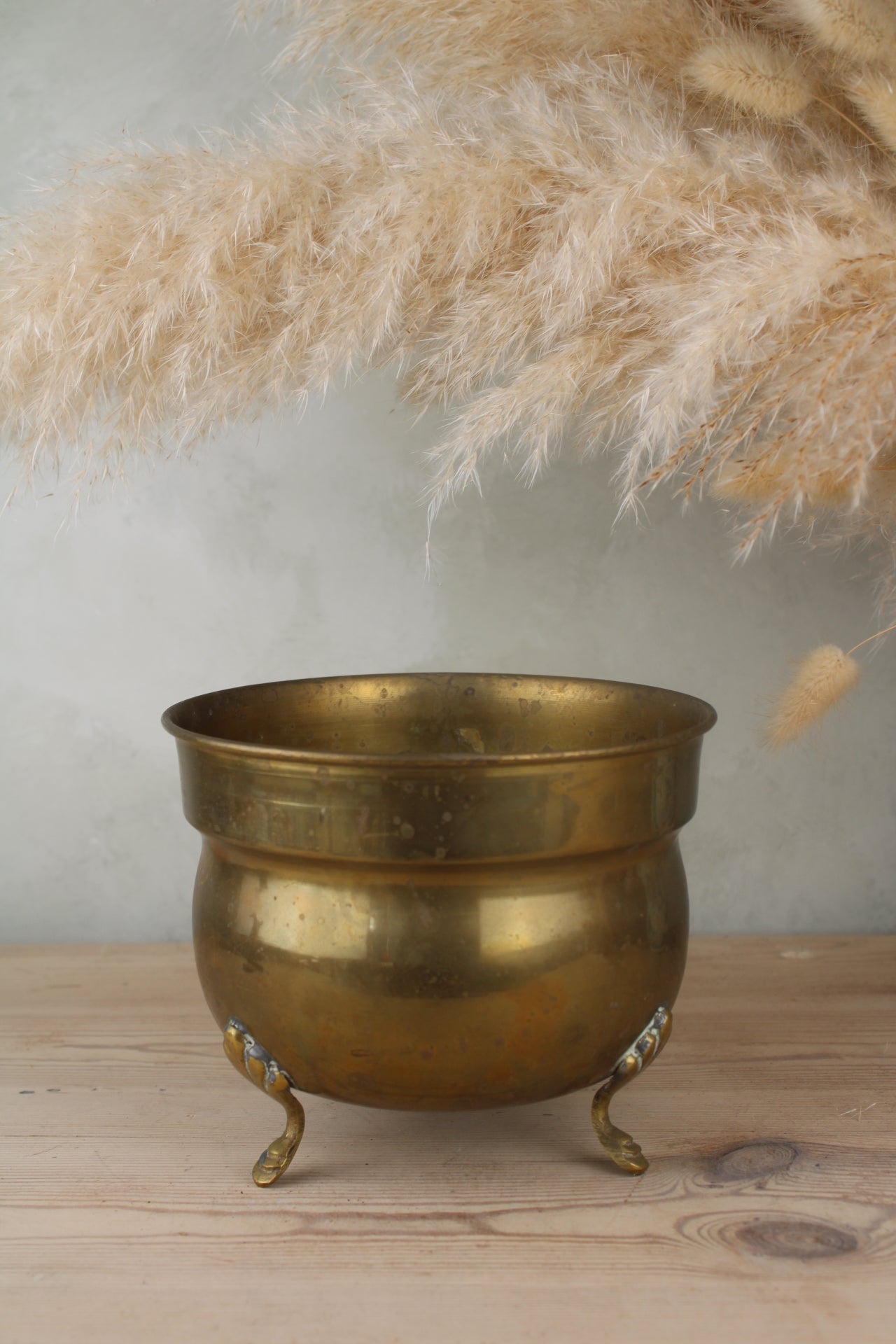 Brass Plant Pot with Feet