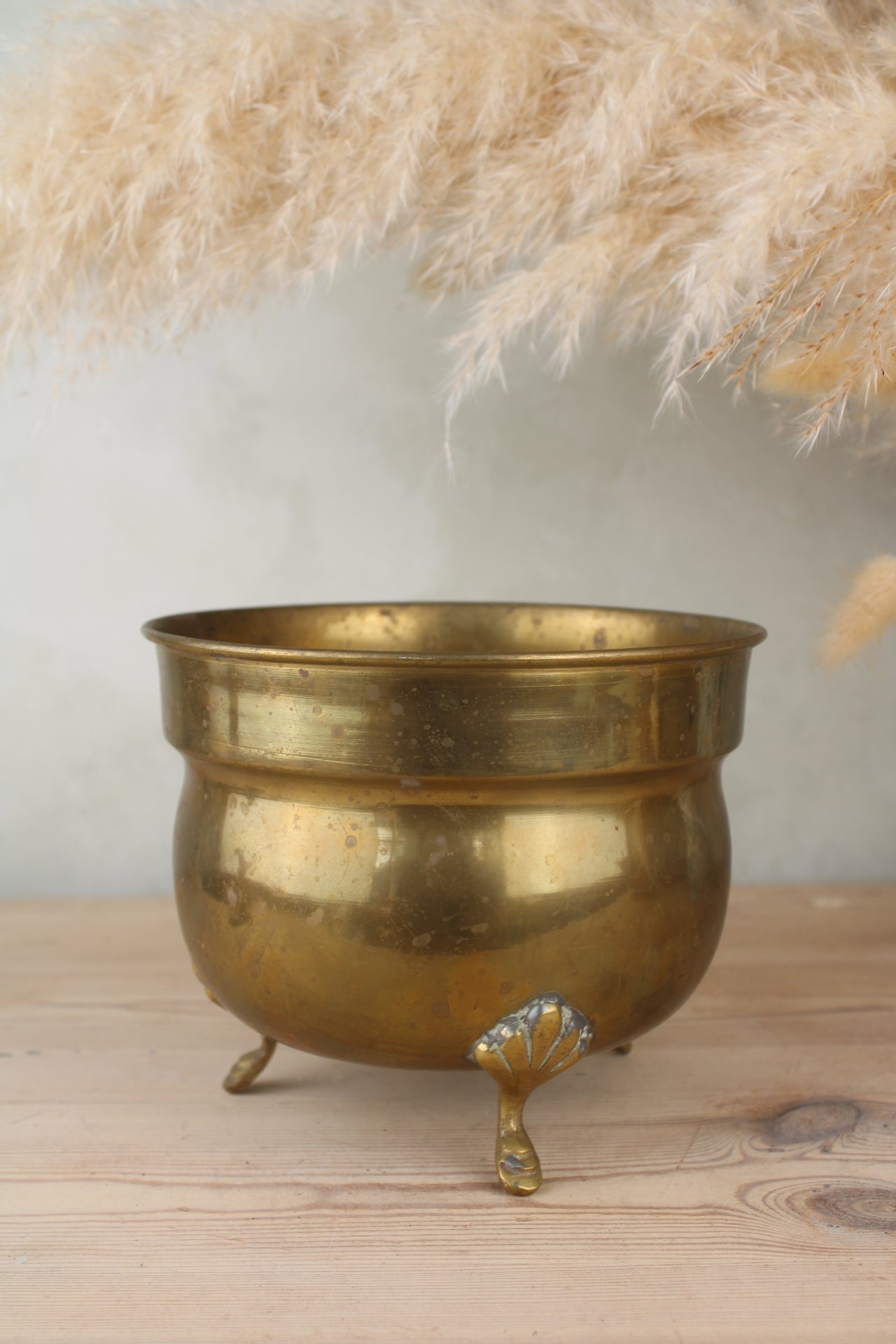 Brass Plant Pot with Feet