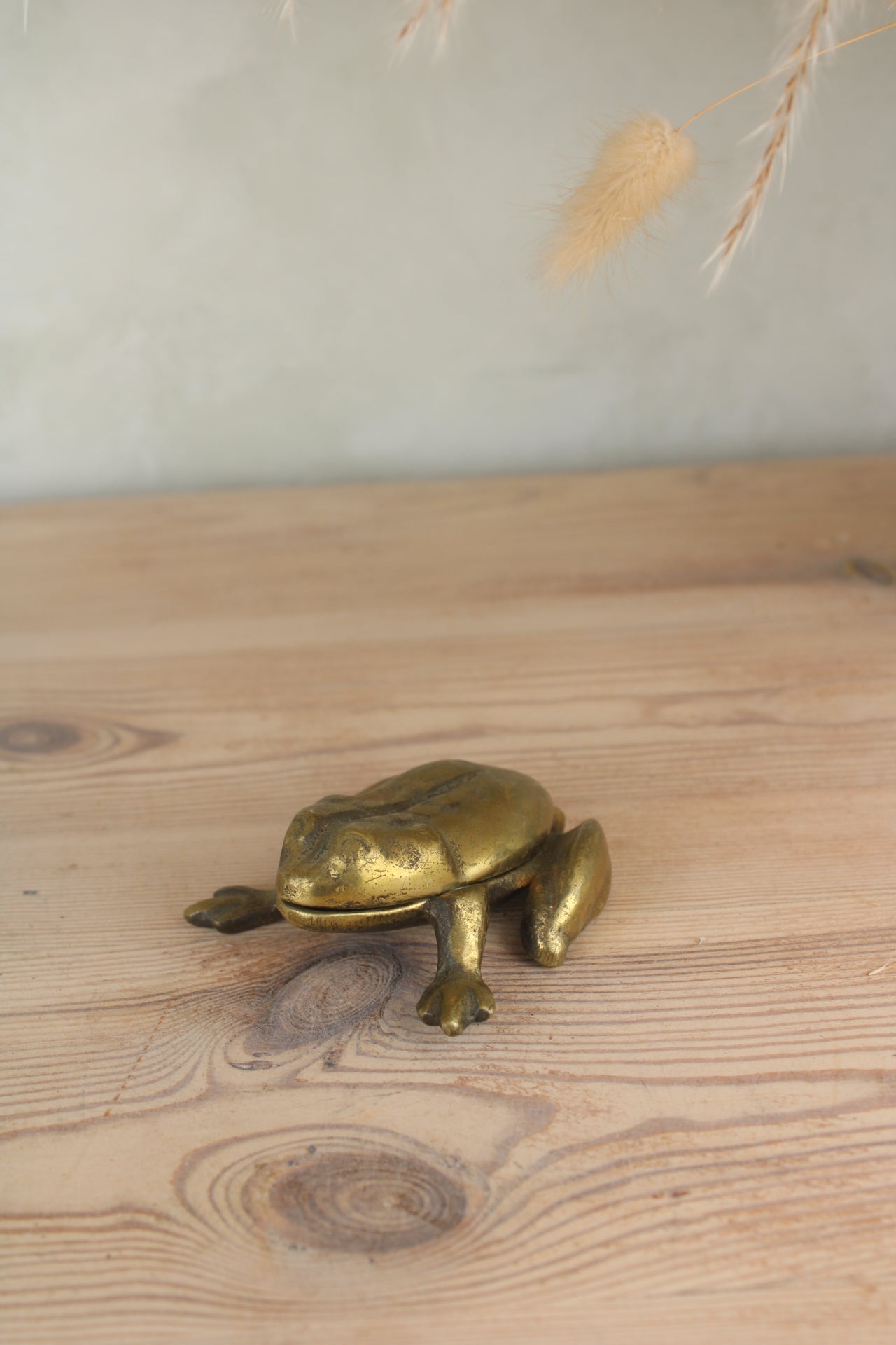 Brass Frog Pot