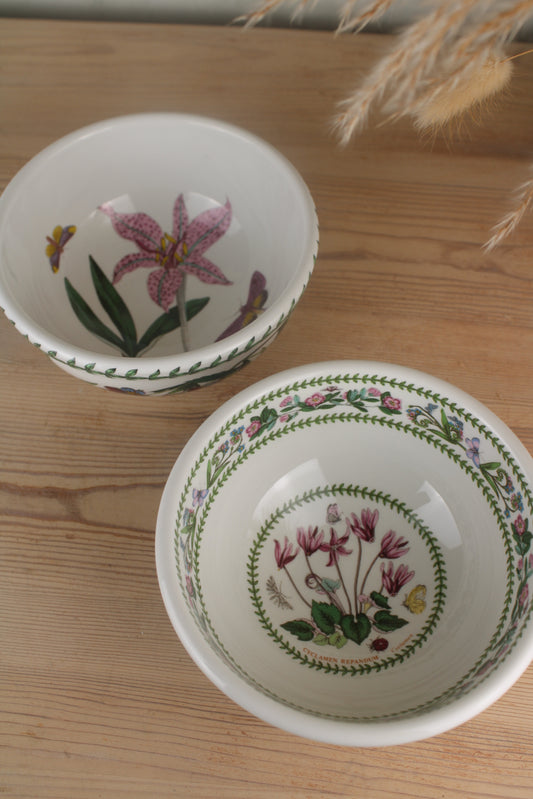 Pair of Portmerion Side Bowls
