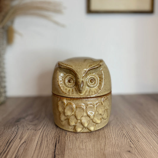 Rustic Owl Shaped Stoneware Pot