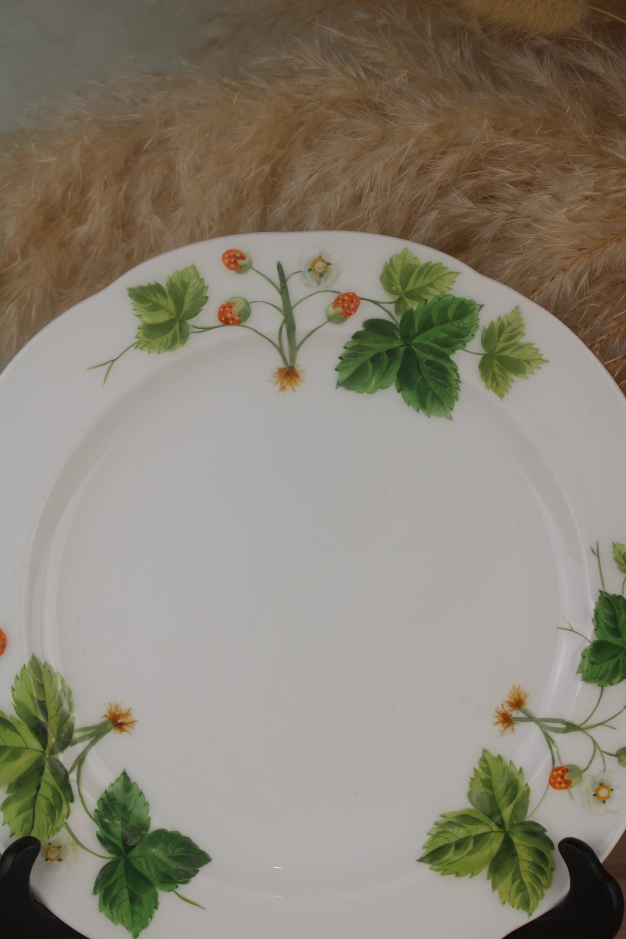 Minton Wild Strawberries Plate