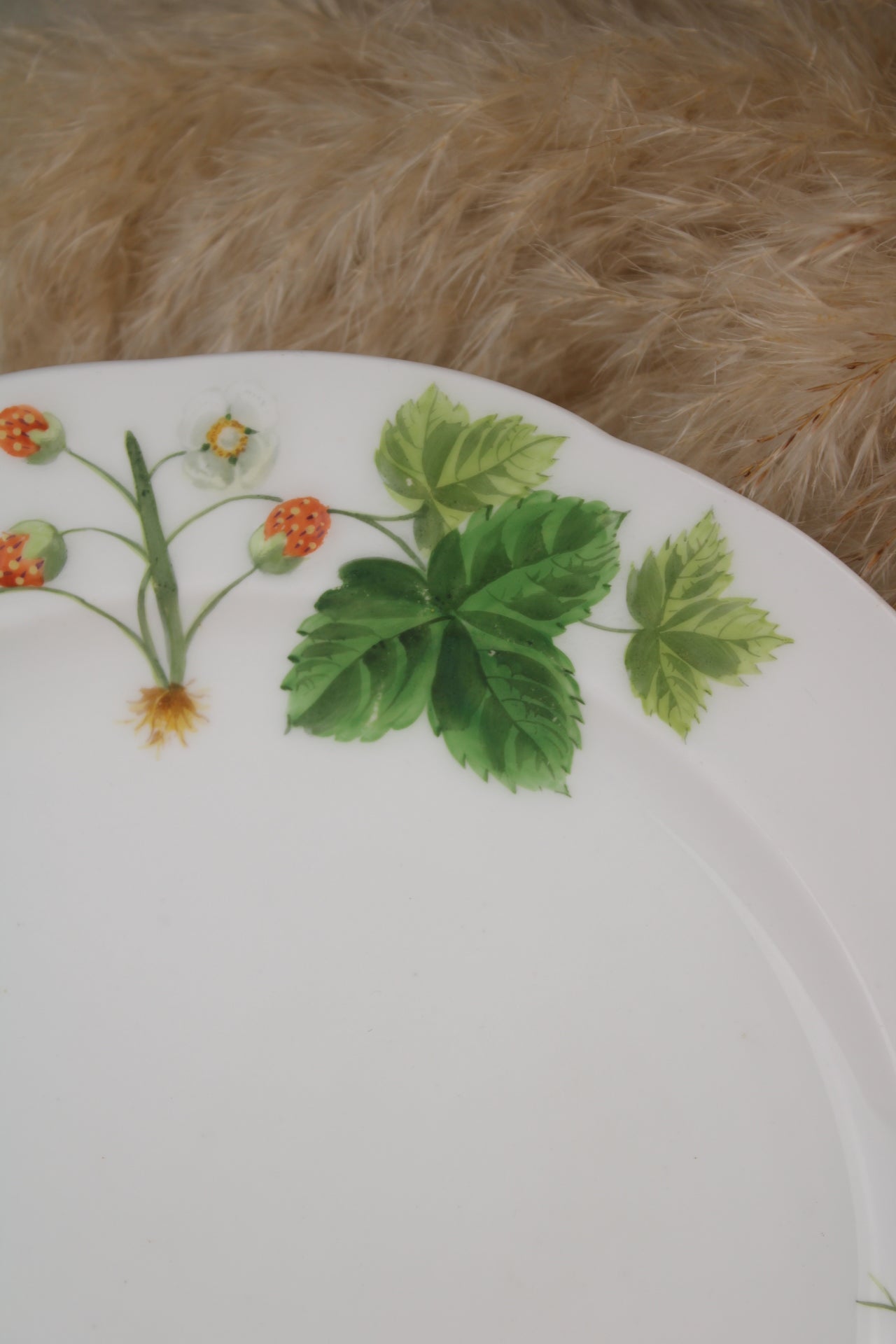 Minton Wild Strawberries Plate