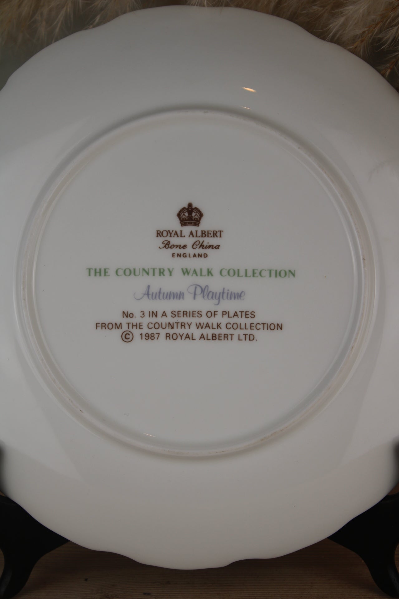 Royal Albert Autumn Playtime Hanging Plate