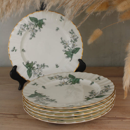 Set of 6 Royal Worcester Valencia Side Plates