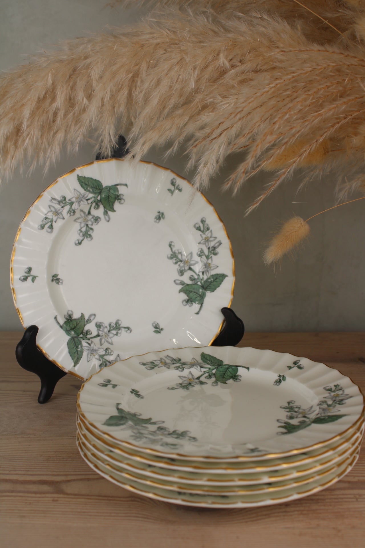 Set of 6 Royal Worcester Valencia Side Plates