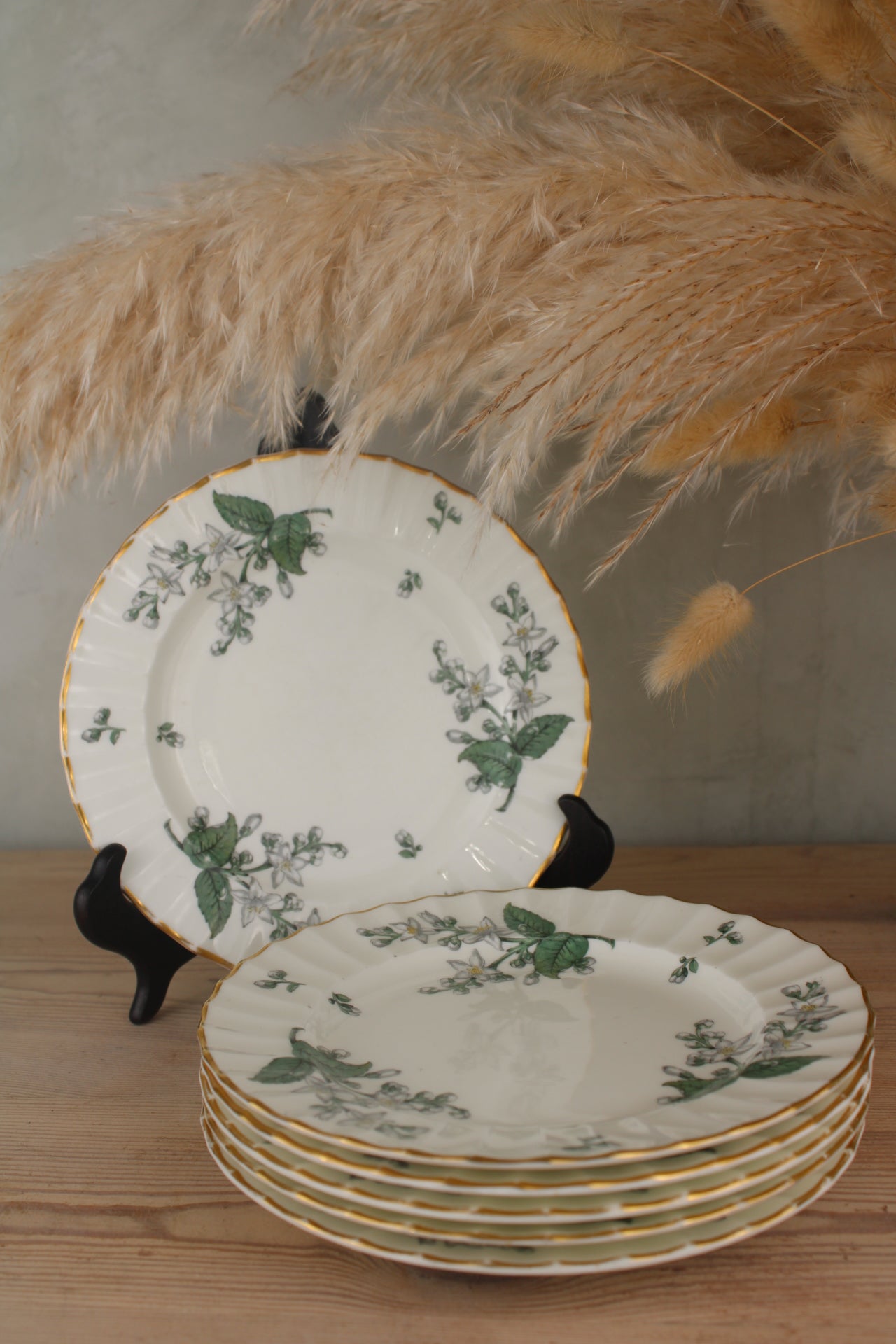 Set of 6 Royal Worcester Valencia Side Plates