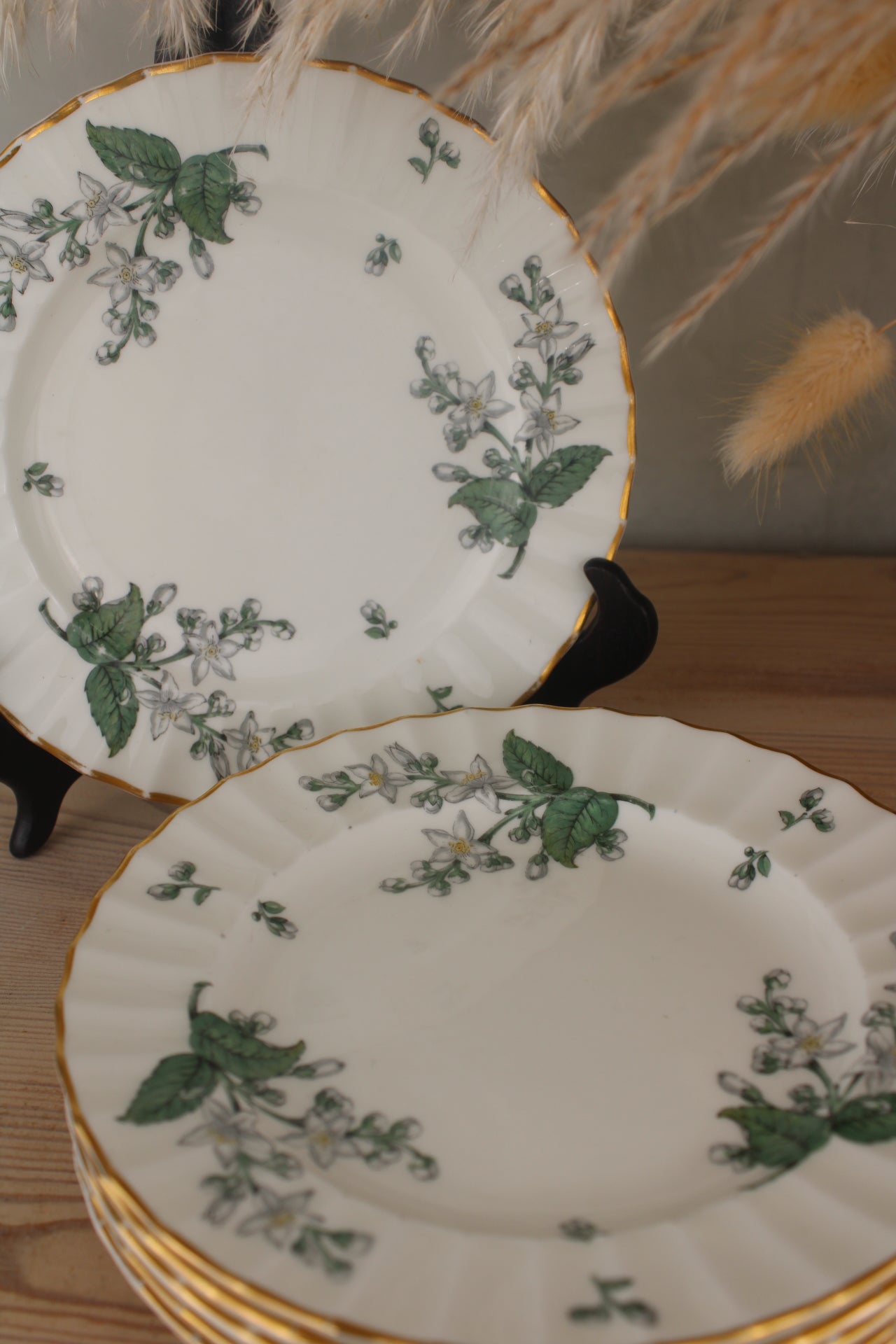 Set of 6 Royal Worcester Valencia Side Plates