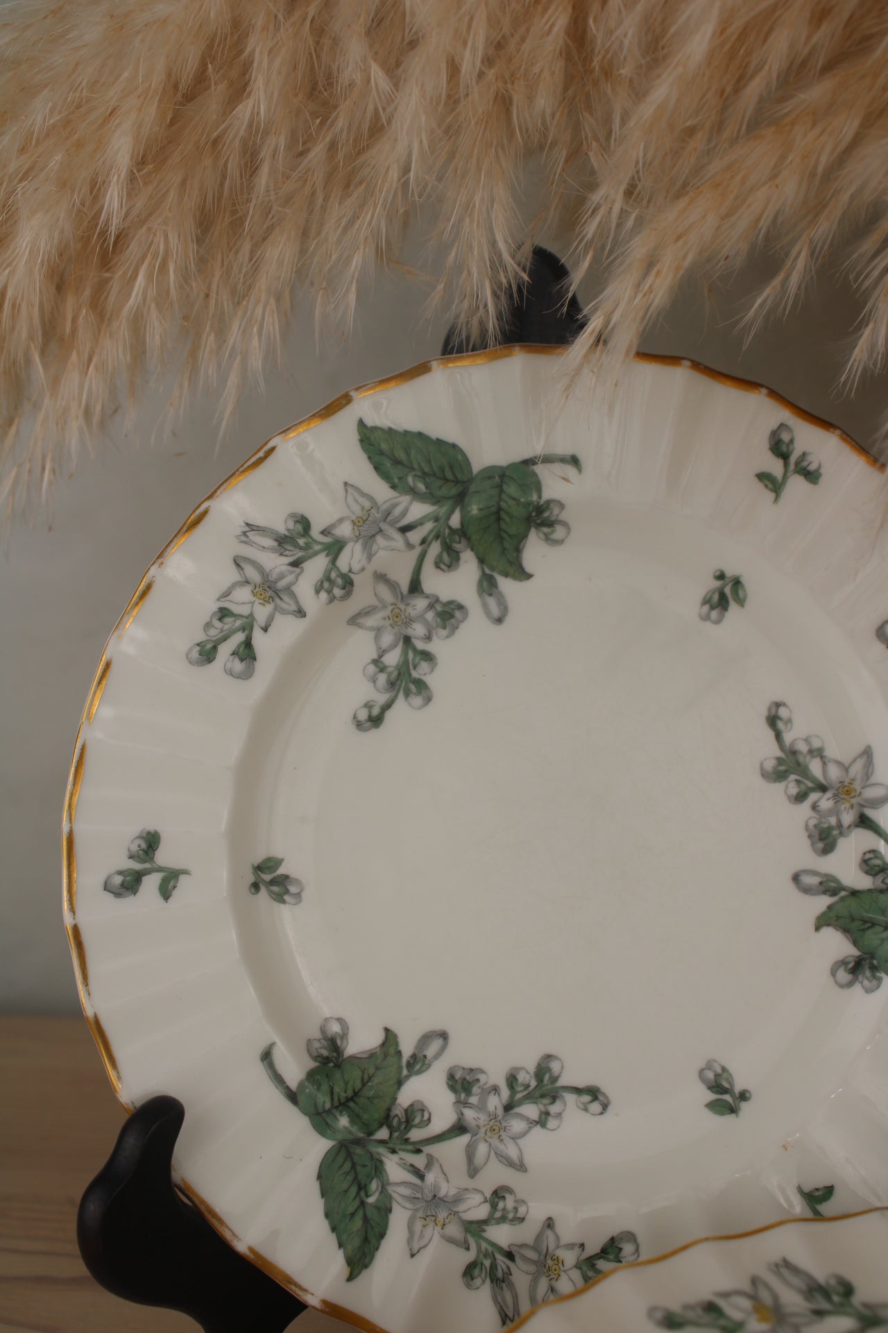 Set of 6 Royal Worcester Valencia Side Plates