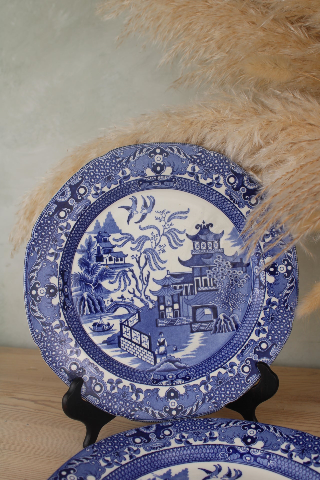 Pair of Burleigh Ware Dinner Plates