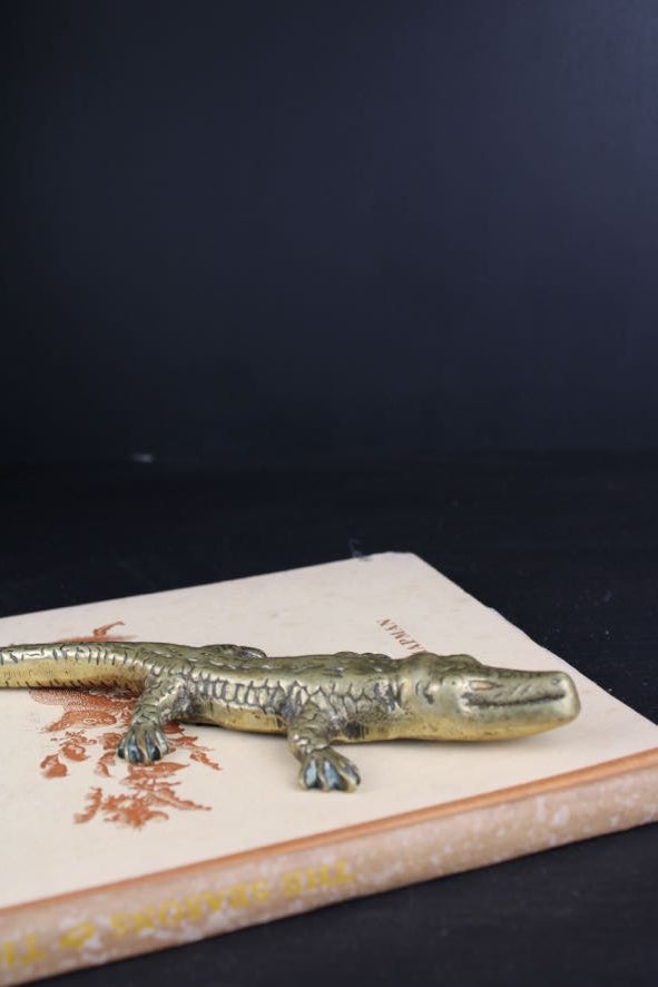 Brass Crocodile