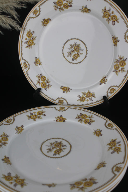 Set of 4 Spode Austen Yellow Flower Dinner Plates