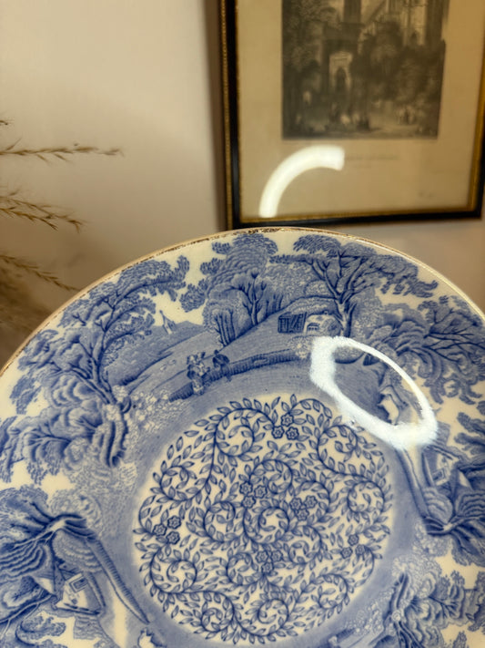 Blue and White Tree Illustration Plate