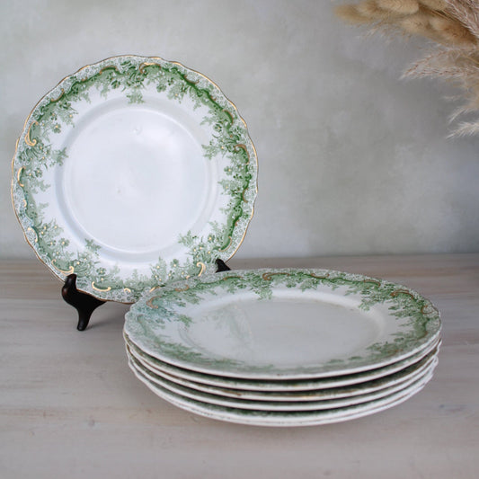 Set of 6 Waterloo Potteries Cromer Small Dinner Plates in Green Leaf Design