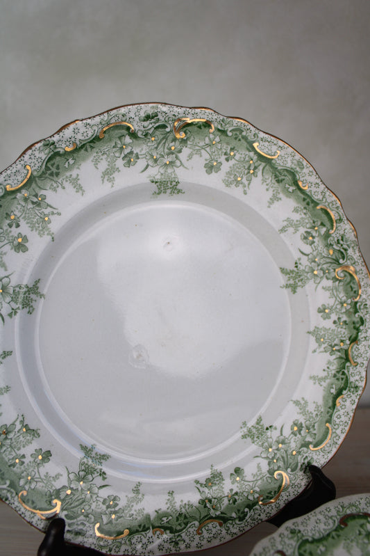 Set of 6 Waterloo Potteries Cromer Small Dinner Plates in Green Leaf Design