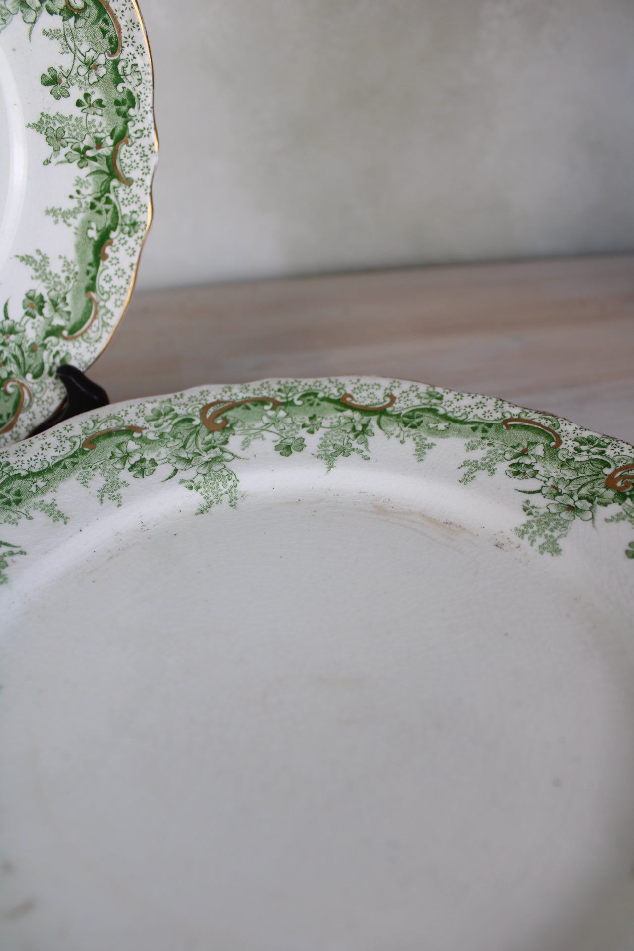 Set of 6 Waterloo Potteries Cromer Small Dinner Plates in Green Leaf Design