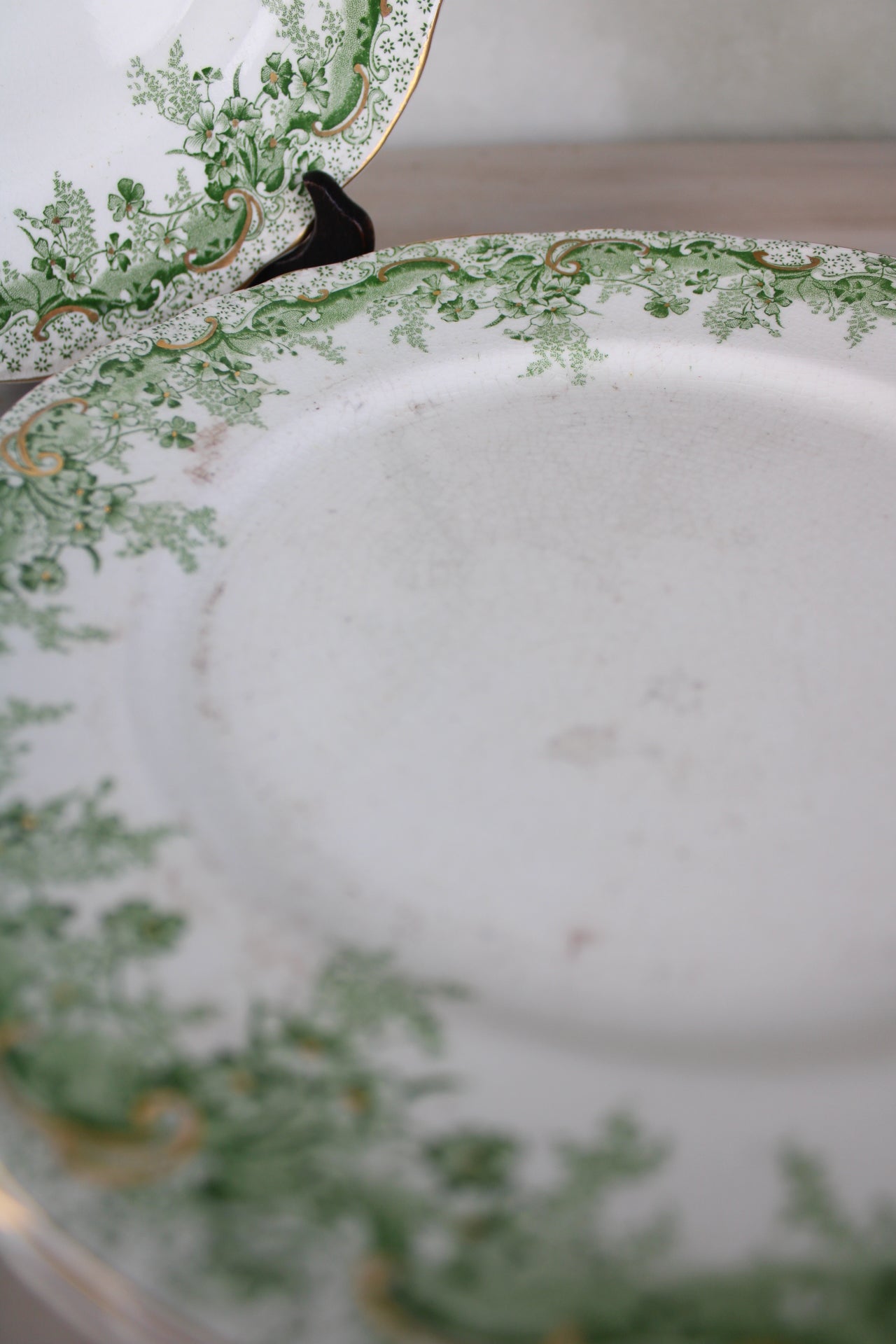 Set of 6 Waterloo Potteries Cromer Small Dinner Plates in Green Leaf Design