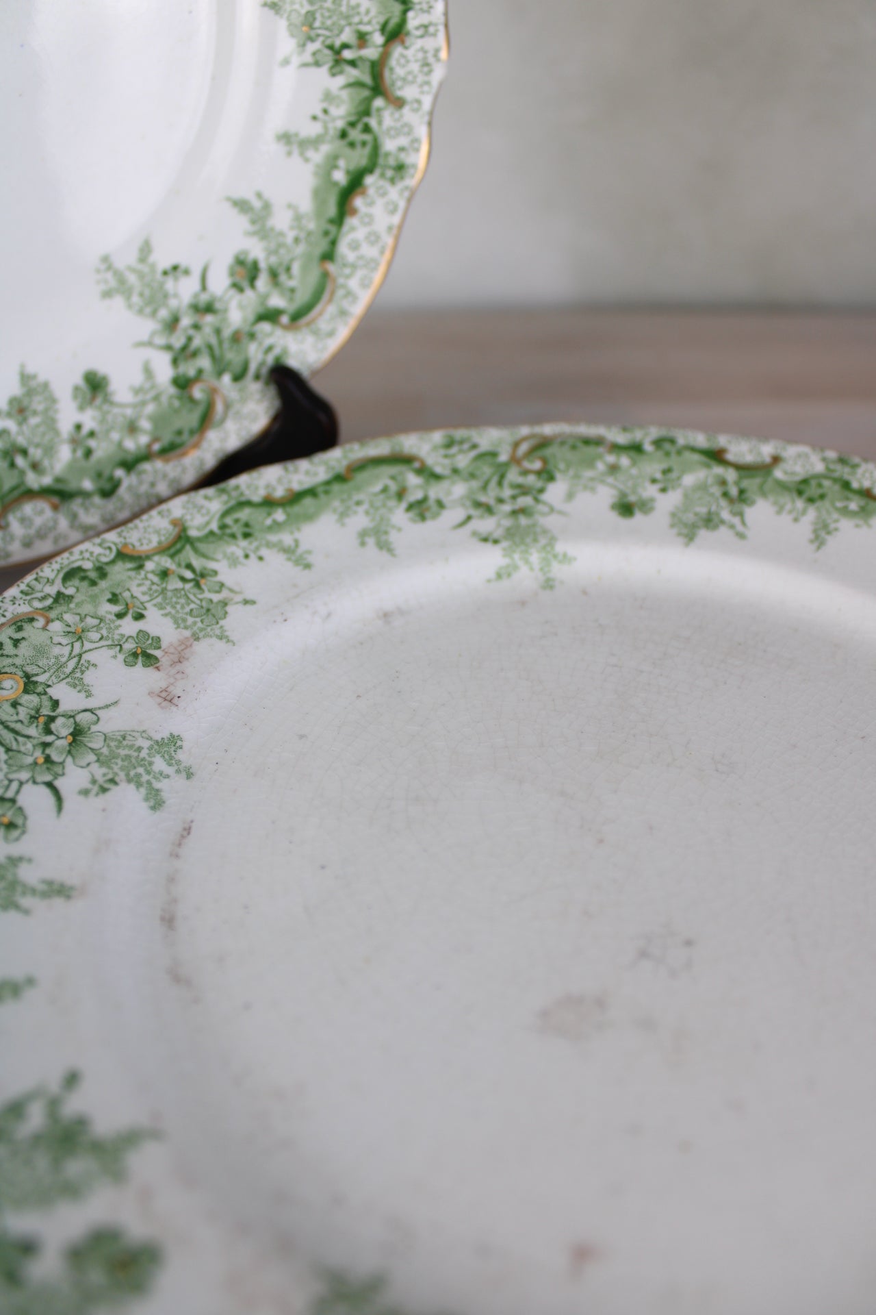 Set of 6 Waterloo Potteries Cromer Small Dinner Plates in Green Leaf Design