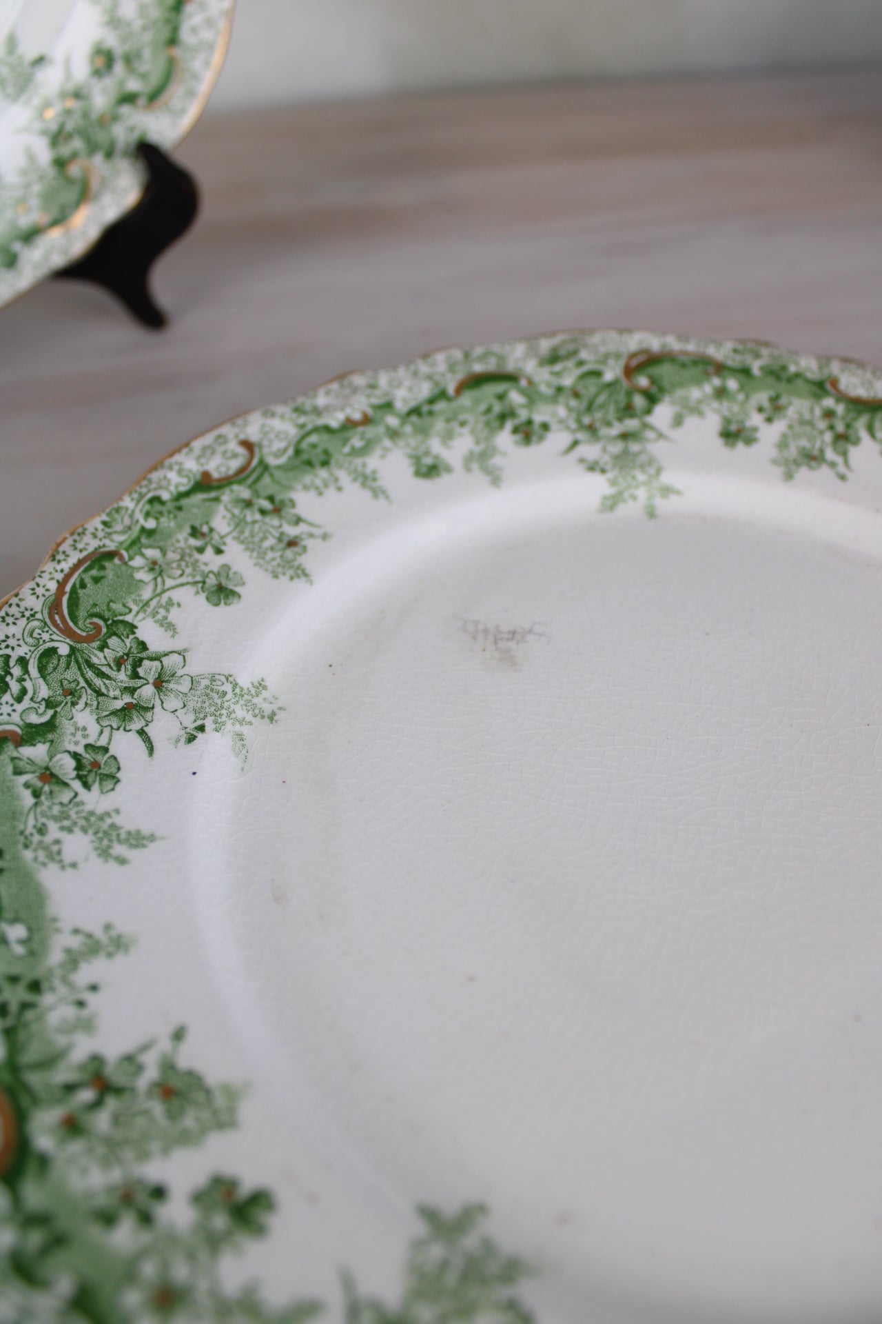 Set of 6 Waterloo Potteries Cromer Small Dinner Plates in Green Leaf Design