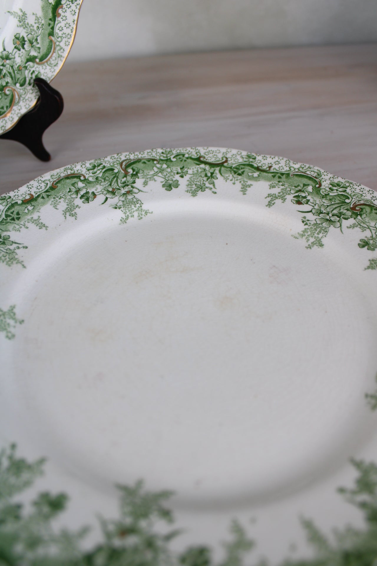 Set of 6 Waterloo Potteries Cromer Small Dinner Plates in Green Leaf Design