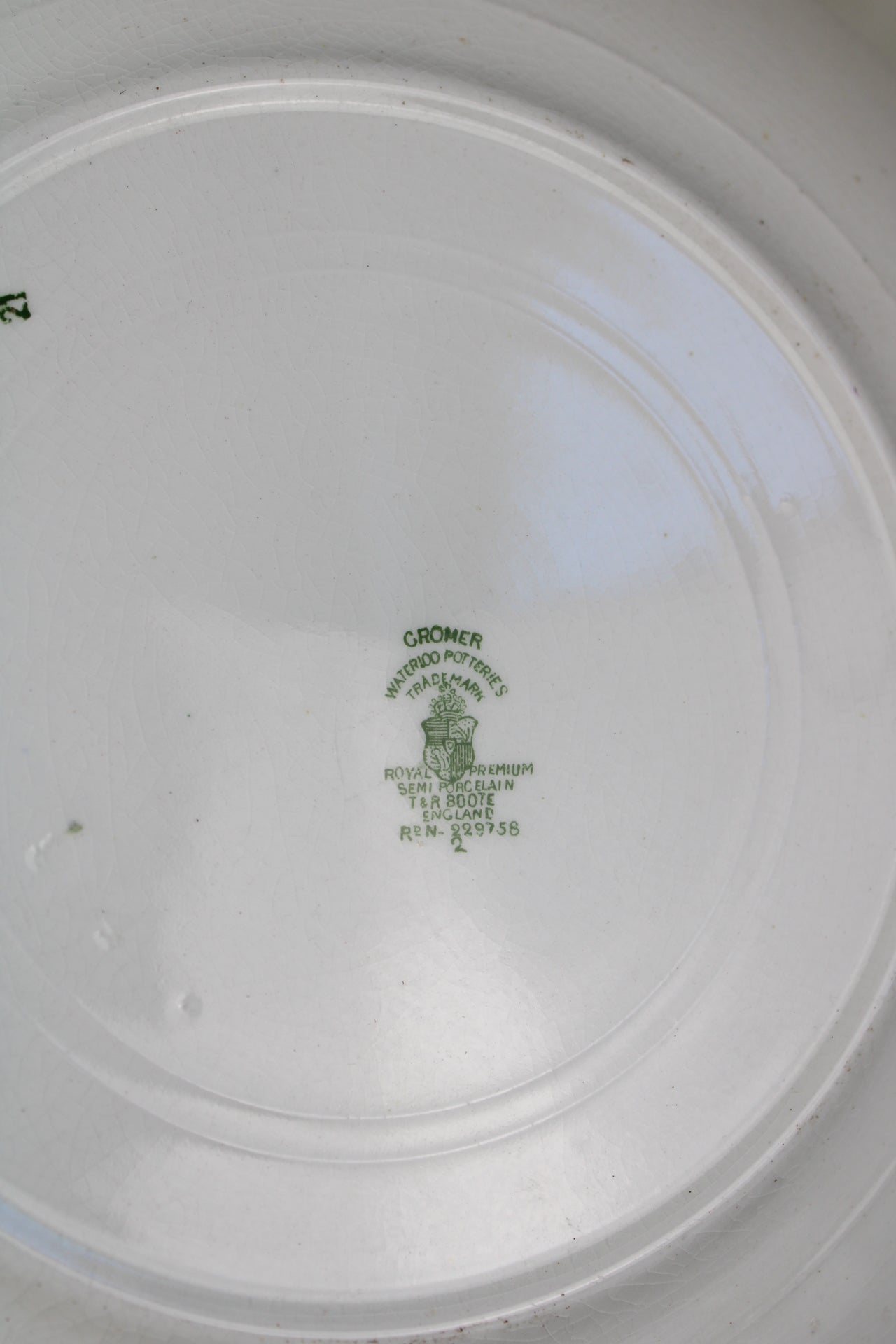 Set of 6 Waterloo Potteries Cromer Small Dinner Plates in Green Leaf Design