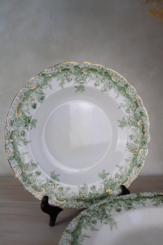 Set of 4 Waterloo Potteries Cromer Pasta Bowls in Green Leaf Design