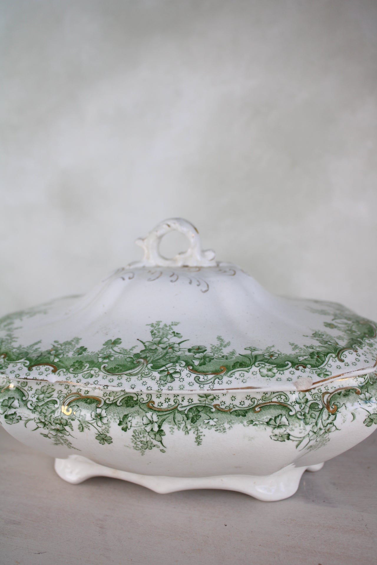 Waterloo Potteries Cromer Tureen with Serving Ladle in Green Leaf Design