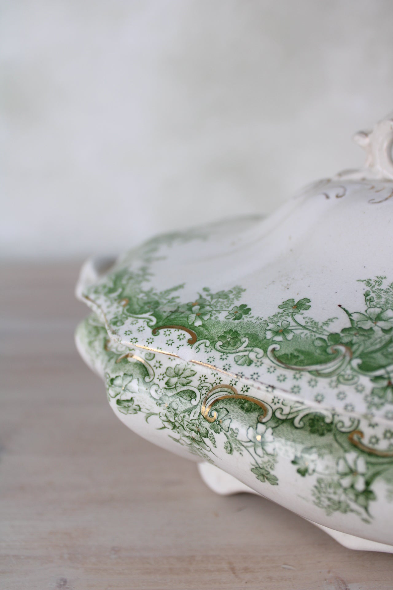 Waterloo Potteries Cromer Tureen with Serving Ladle in Green Leaf Design