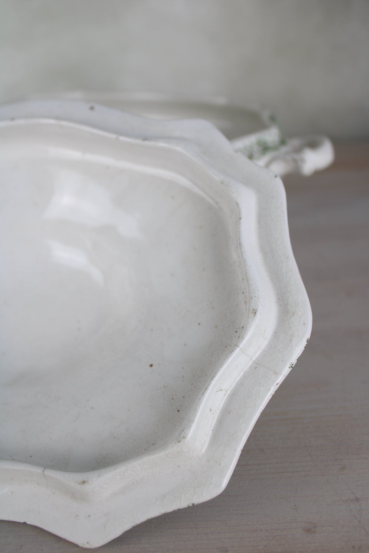 Waterloo Potteries Cromer Tureen with Serving Ladle in Green Leaf Design