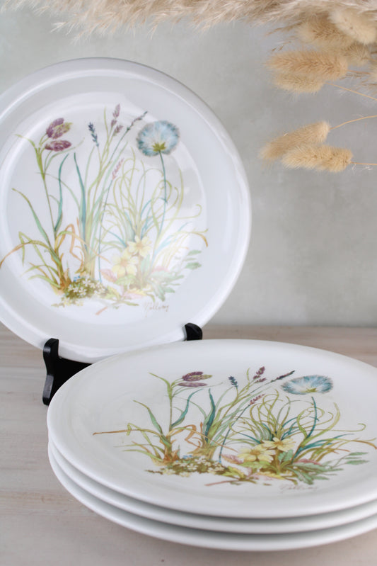 Set of 4 Pillivuyt France Vintage Dinner Plates