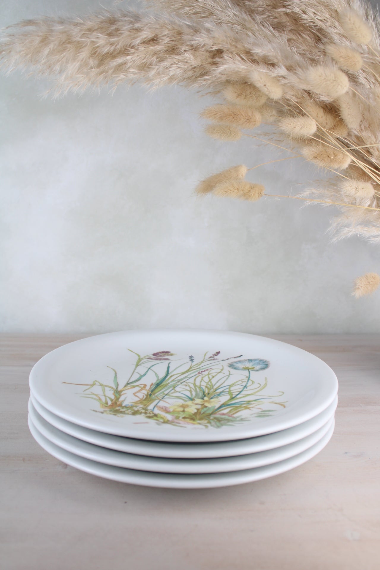 Set of 4 Pillivuyt France Vintage Dinner Plates