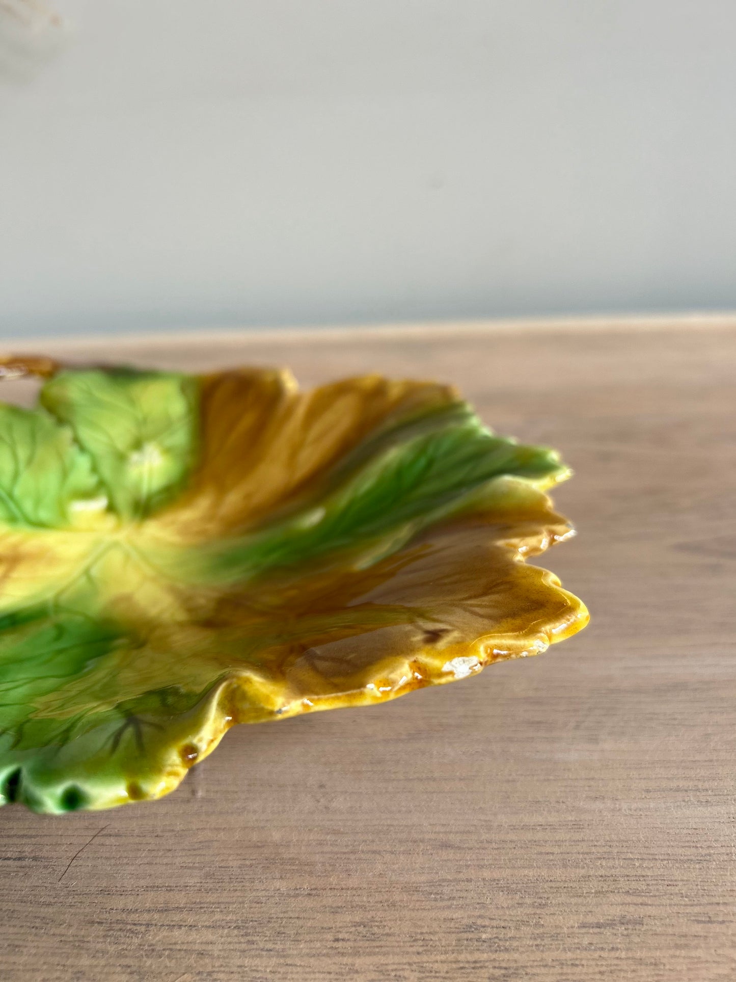 Majolica Style Leaf Shape Dish