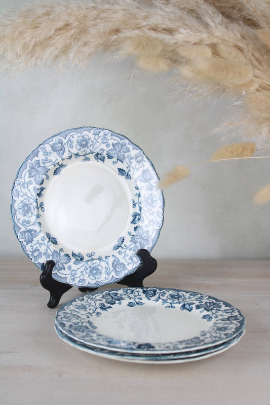 Set of 4 Hulme Reliable Burslem Bramble Side Plates
