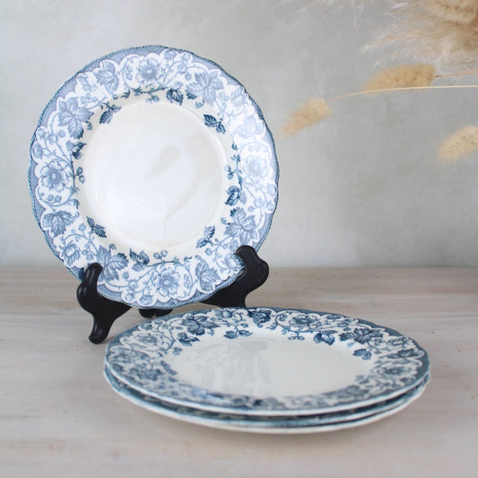 Set of 4 Hulme Reliable Burslem Bramble Side Plates
