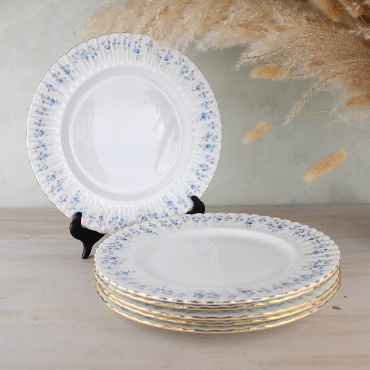 Set of 6 Royal Albert Memory Lane Dinner Plates