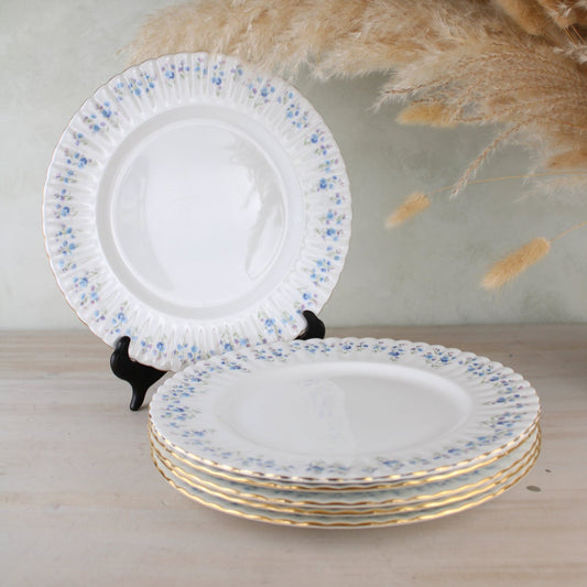 Set of 6 Royal Albert Memory Lane Dinner Plates
