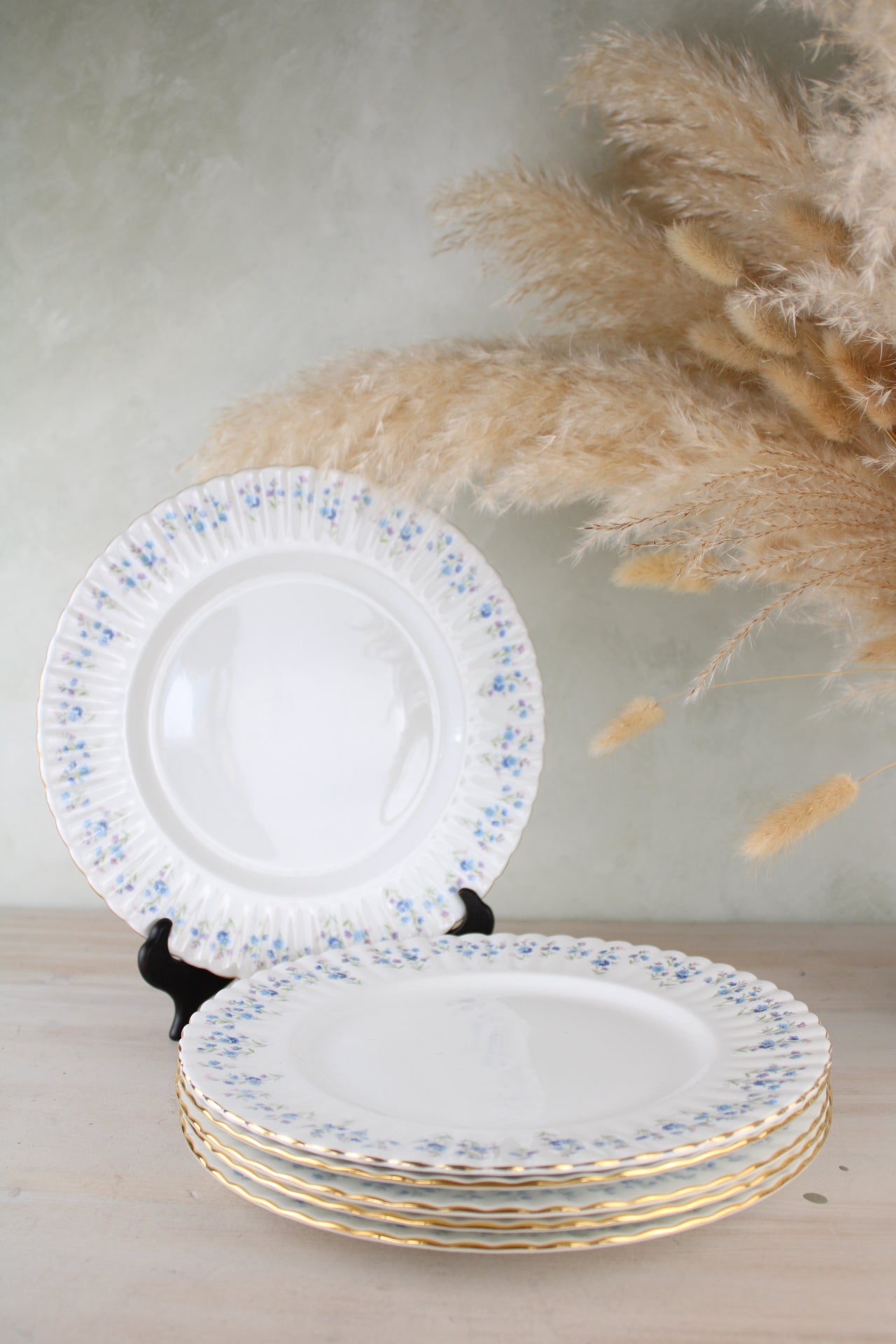 Set of 6 Royal Albert Memory Lane Dinner Plates