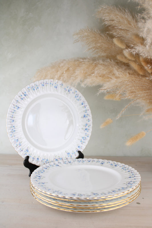 Set of 6 Royal Albert Memory Lane Dinner Plates
