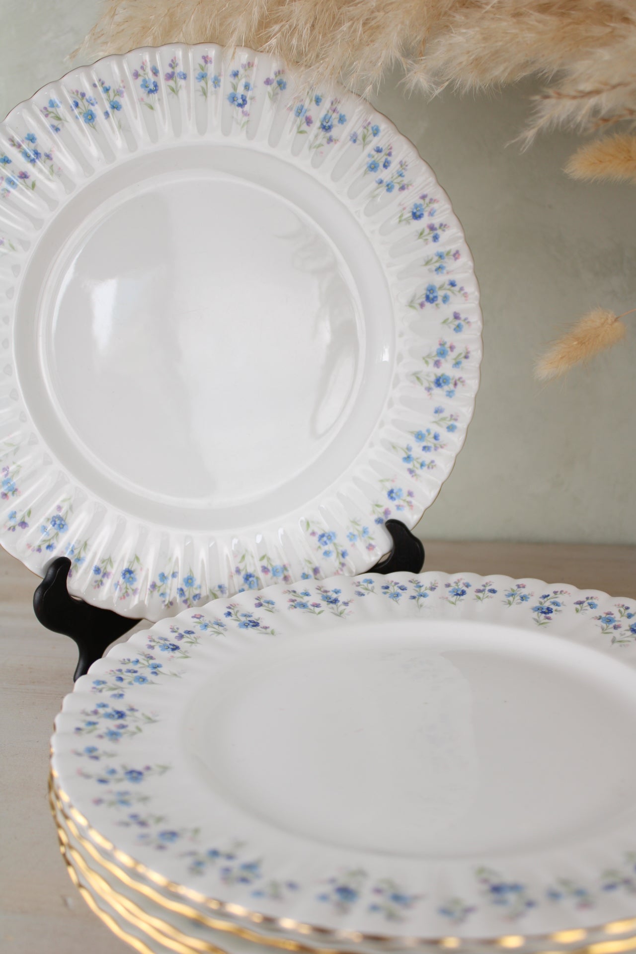 Set of 6 Royal Albert Memory Lane Dinner Plates