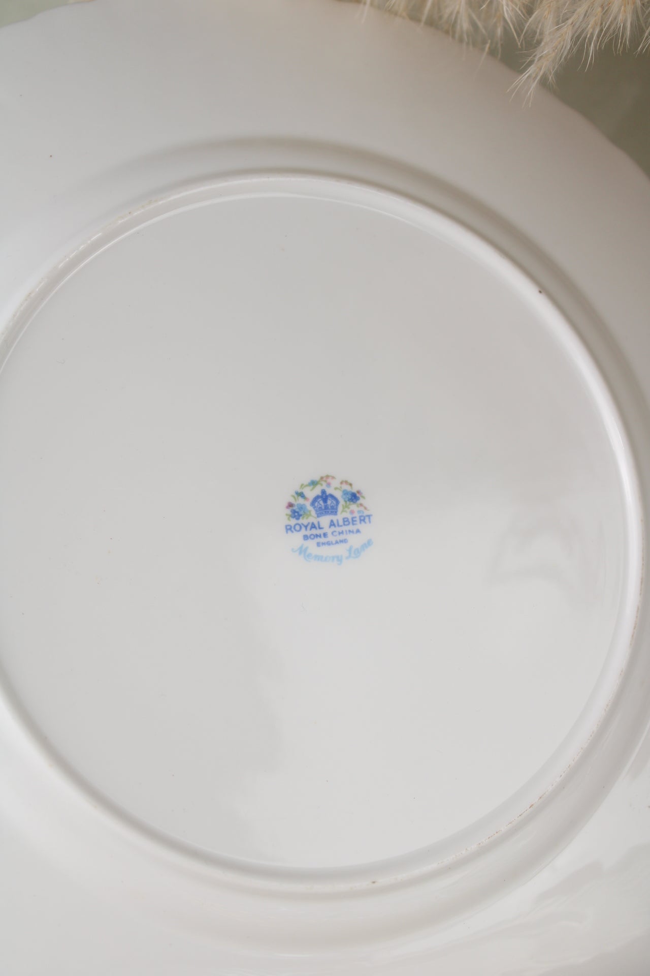 Set of 6 Royal Albert Memory Lane Dinner Plates